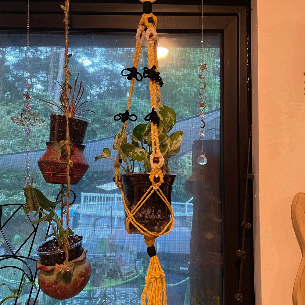 Bumble Bee Macrame Plant Hanger
